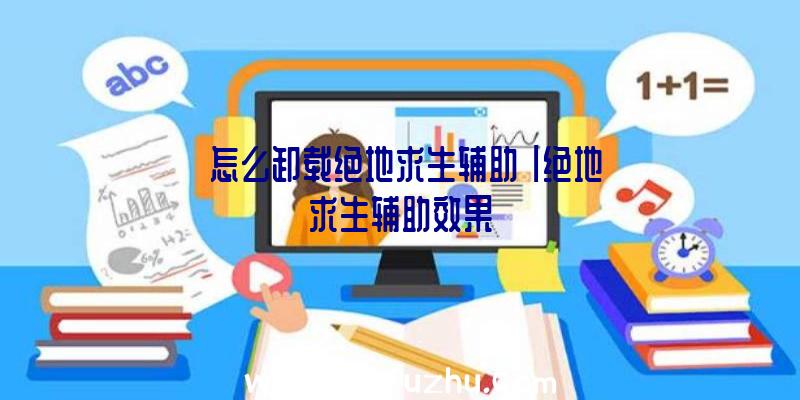 「怎么卸载绝地求生辅助」|绝地求生辅助效果